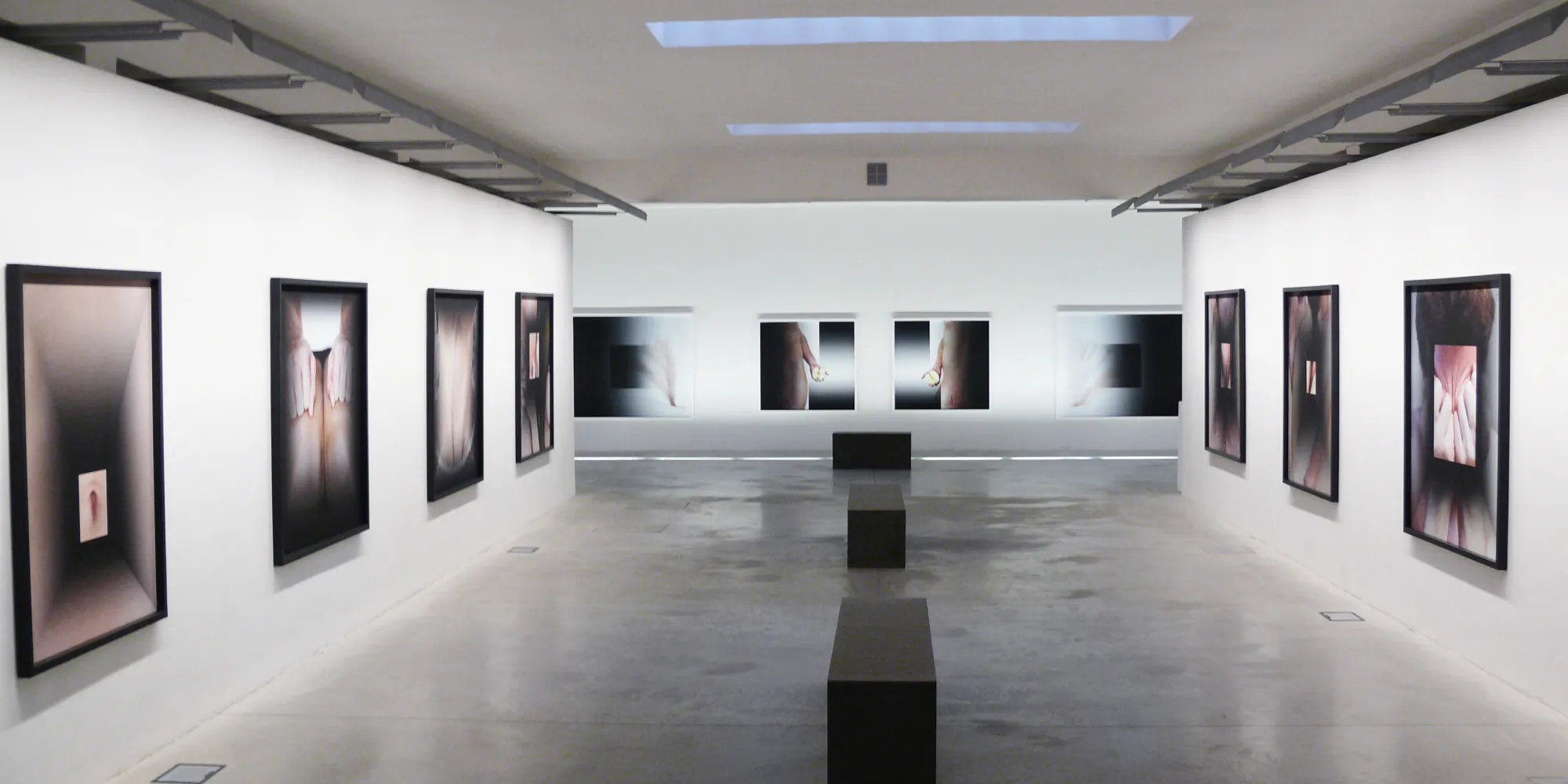 Susana Serpas Soriano. OBLIO, installation view.
