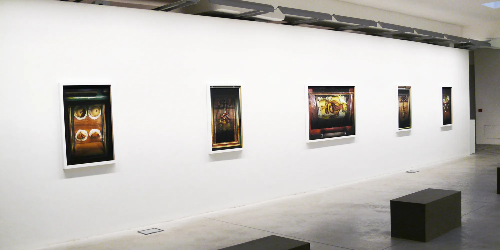 Susana Serpas Soriano. OBLIO, installation view.