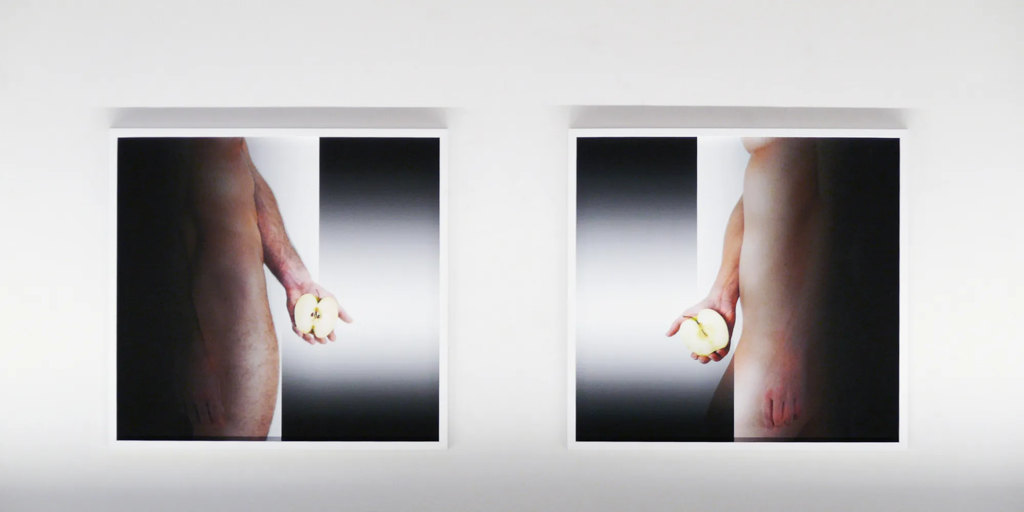Susana Serpas Soriano. OBLIO, installation view.
