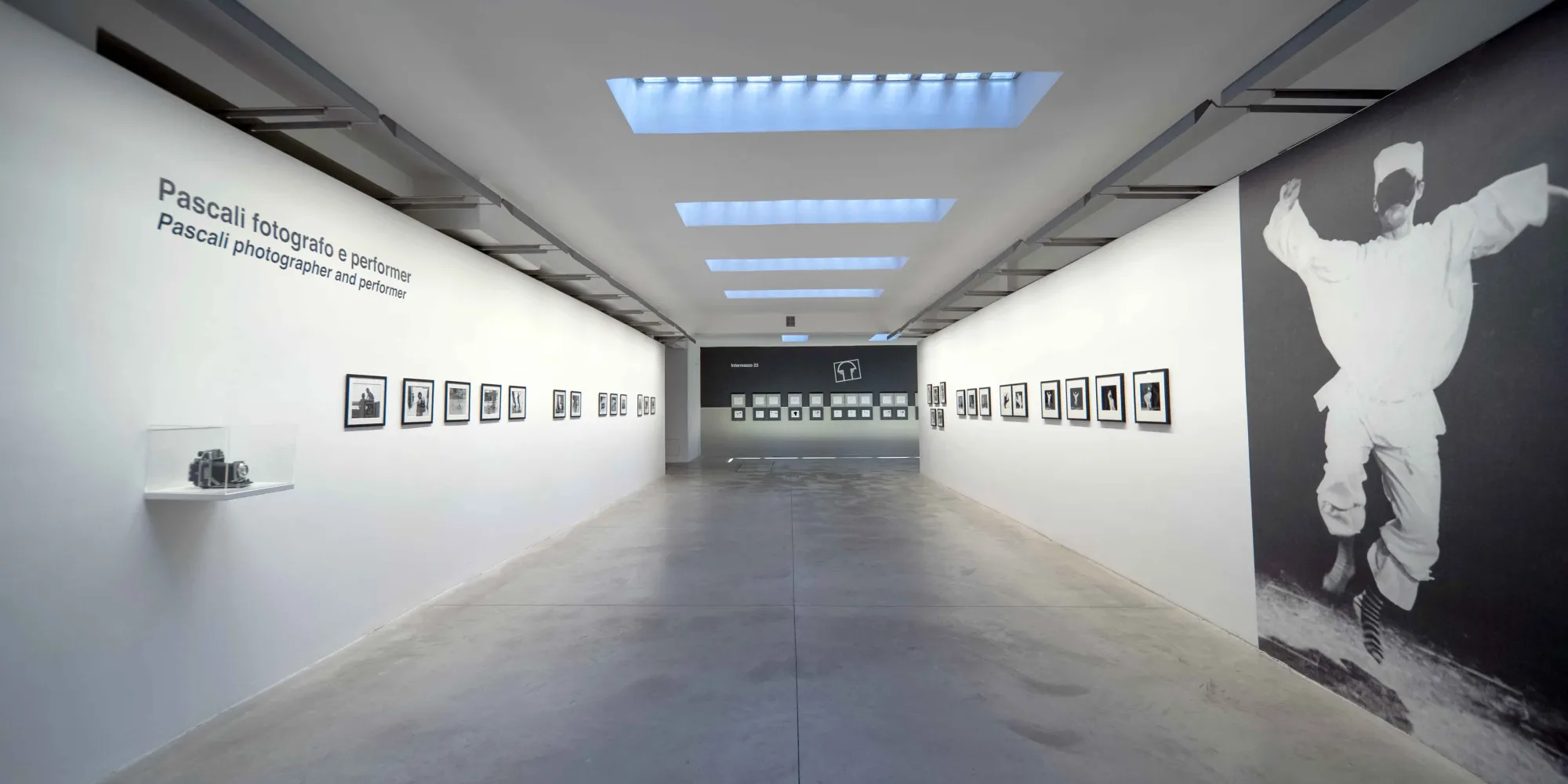 Pino Pascali. Disegnare una fotografia, "Pascali fotografo e performer". Installation view