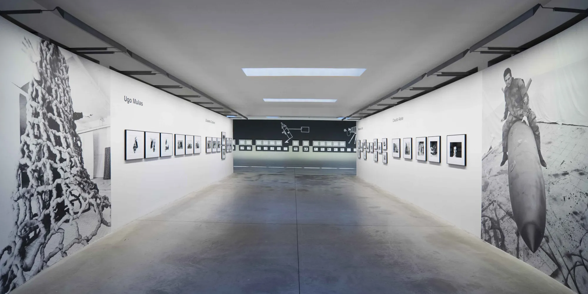 Pino Pascali. Disegnare una fotografia, "Photographers". Installation view