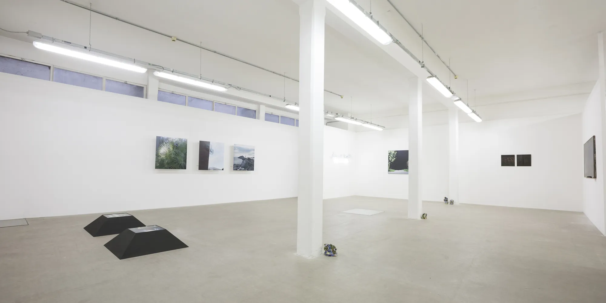 Eva Sauer. A meditation on violence, installation view. Photo: Claudia Cataldi