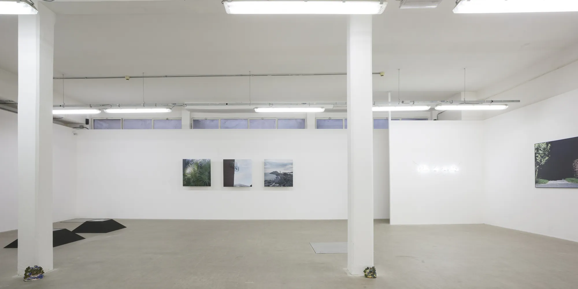 Eva Sauer. A meditation on violence, installation view. Photo: Claudia Cataldi
