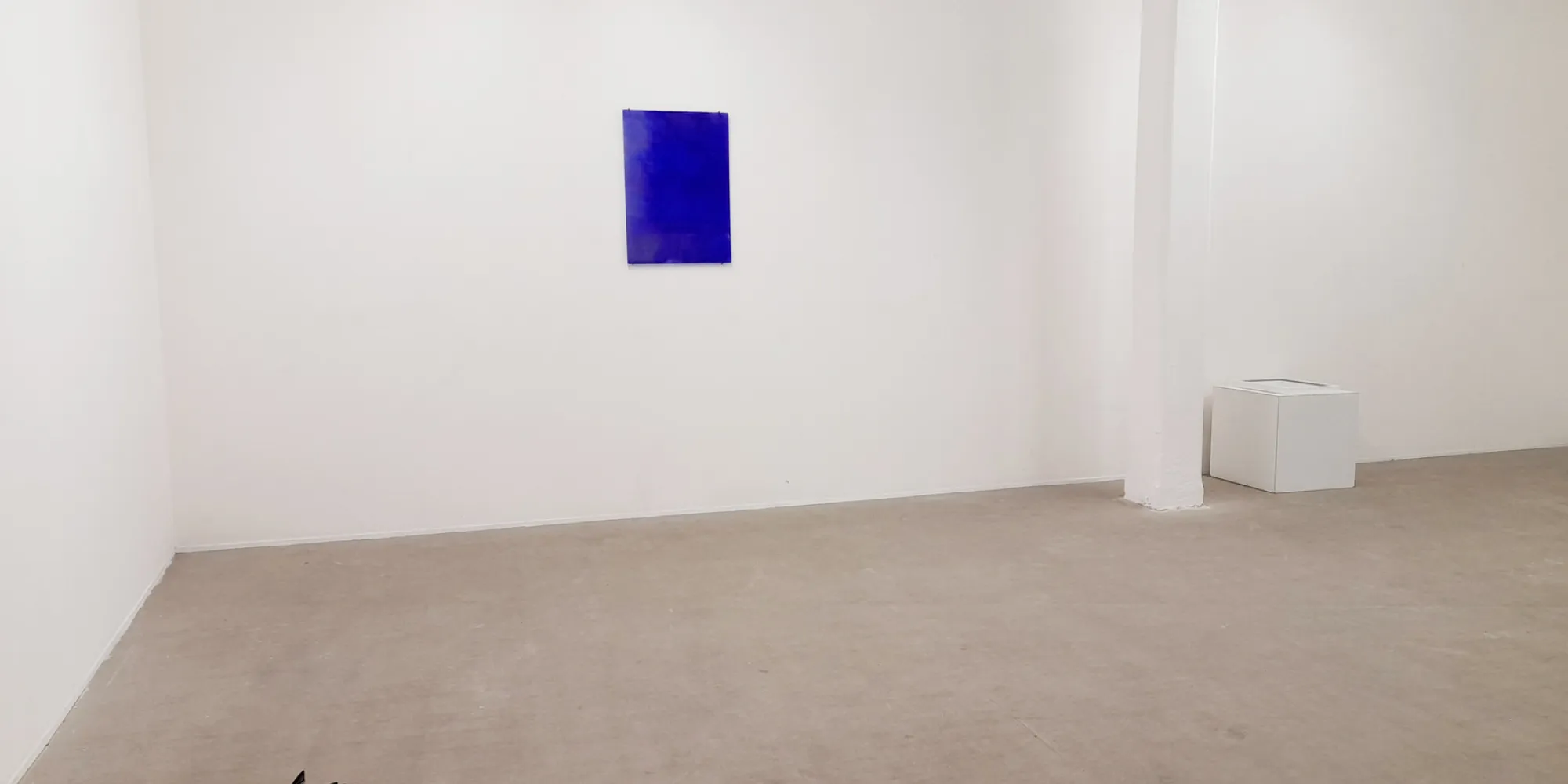 Primo Vere, installation view.