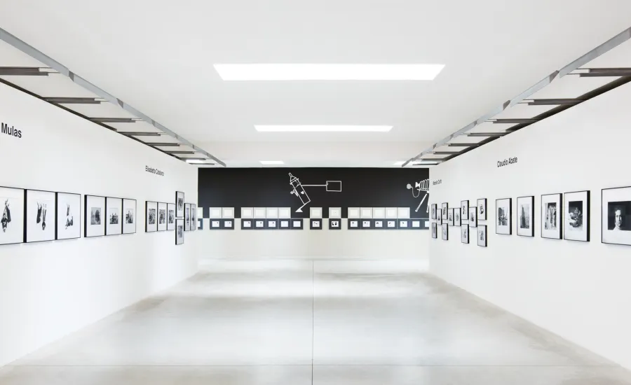 Pino Pascali. Disegnare una fotografia
